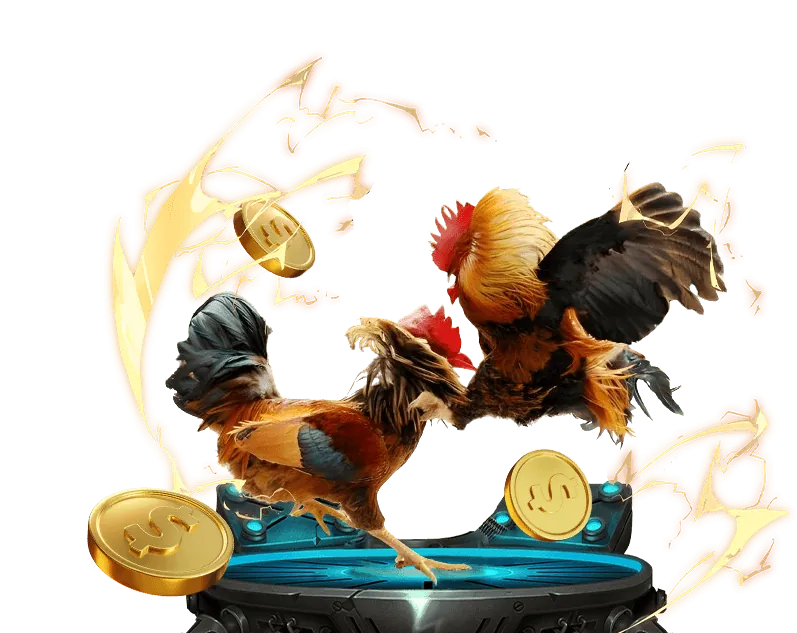 Hướng dẫn luật chơi đá gà tại VB9